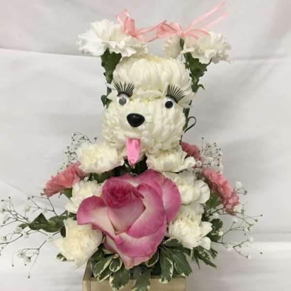 Pink Puppy