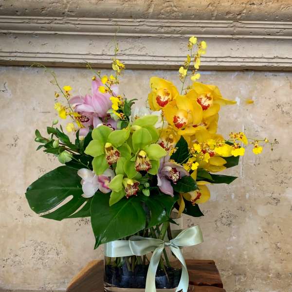 Mixed orchids in a glass vase with a pale ribbon