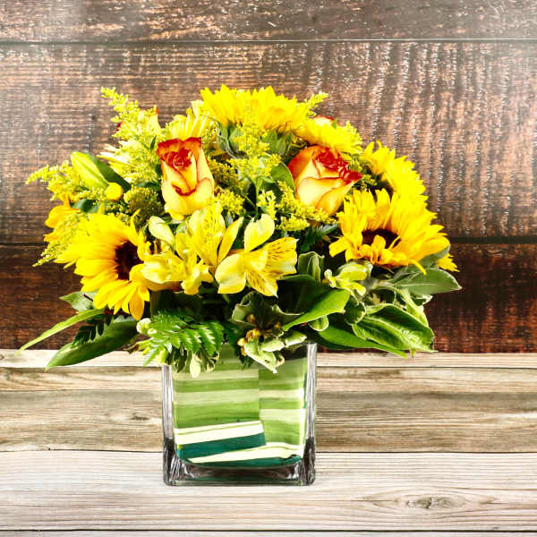 Sunflower Special