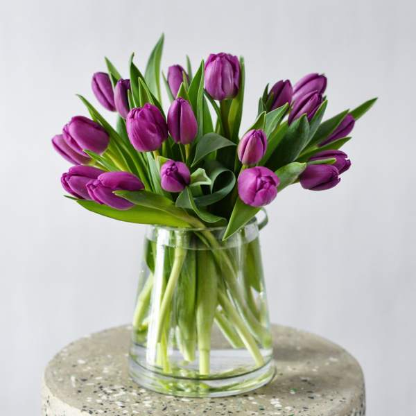Purple tulips arranged in a clear glass vase