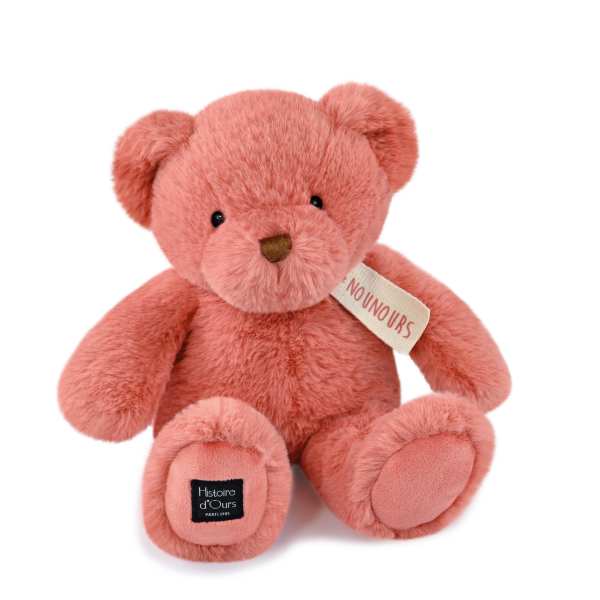 Pink plush teddy bear with a tag on a white background