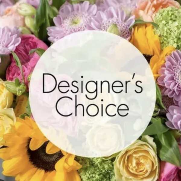 Designer’s Choice