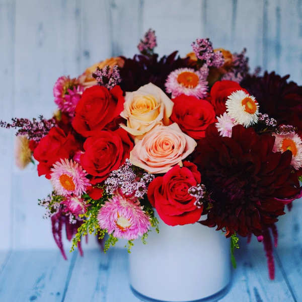 Shades of pink