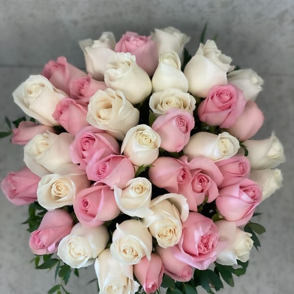 Bouquet of pink and white roses with dark green foliage