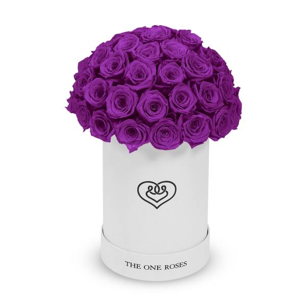 Purple roses arranged in a white cylindrical box