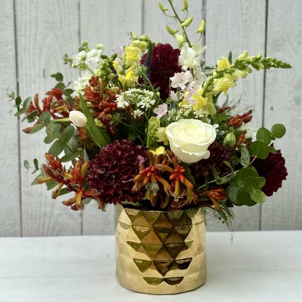 JOSHUA TREE