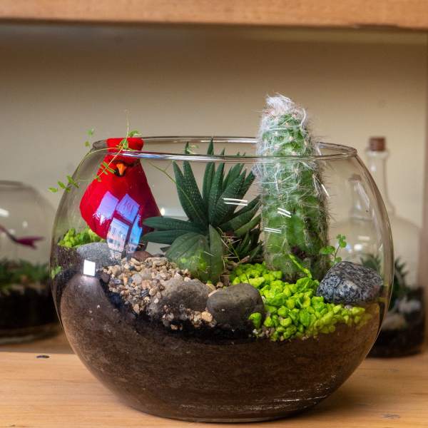Glass bowl terrarium with two small cactus figures and pebbles