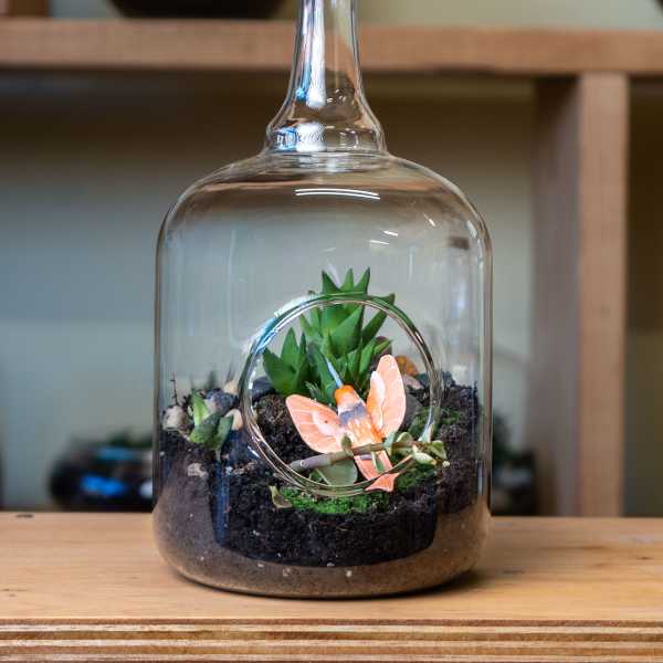 Glass bottle terrarium with small succulents and a decorative butterfly