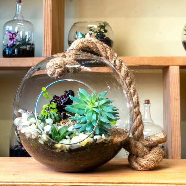Glass hanging terrarium with succulents and pebbles