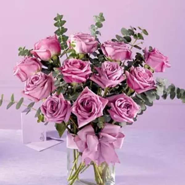 Lavender Roses