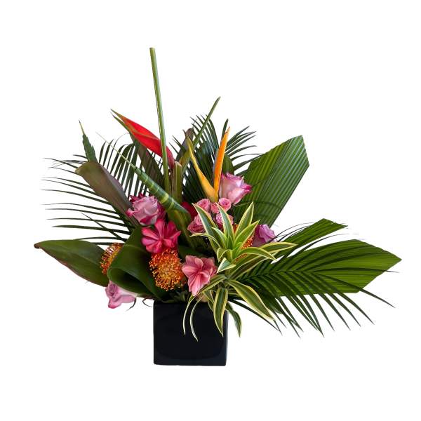 Tropics