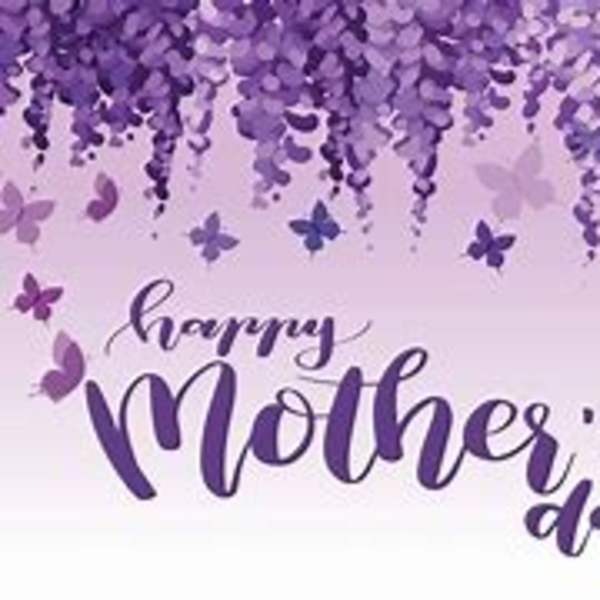 Mother's Day Designers Choice in a Vase ~ Large