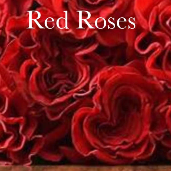 Bouquet of red roses with text overlay