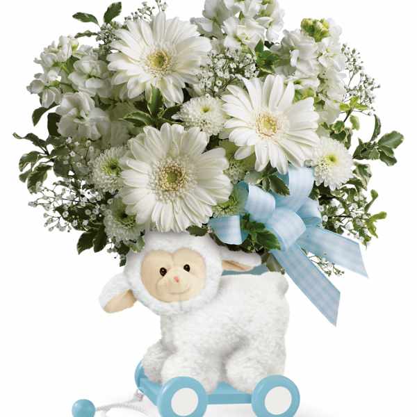 White flower arrangement on a plush lamb toy with a blue ribbon