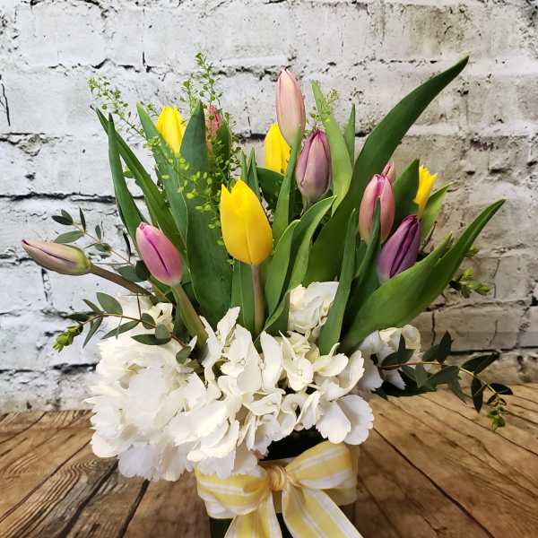 Bouquet of yellow and pink tulips with white hydrangeas in a vase
