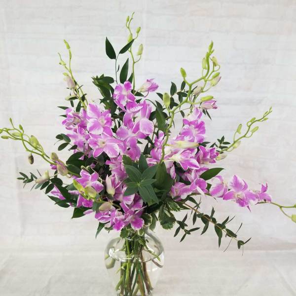Pink and white orchids arranged in a clear glass vase.