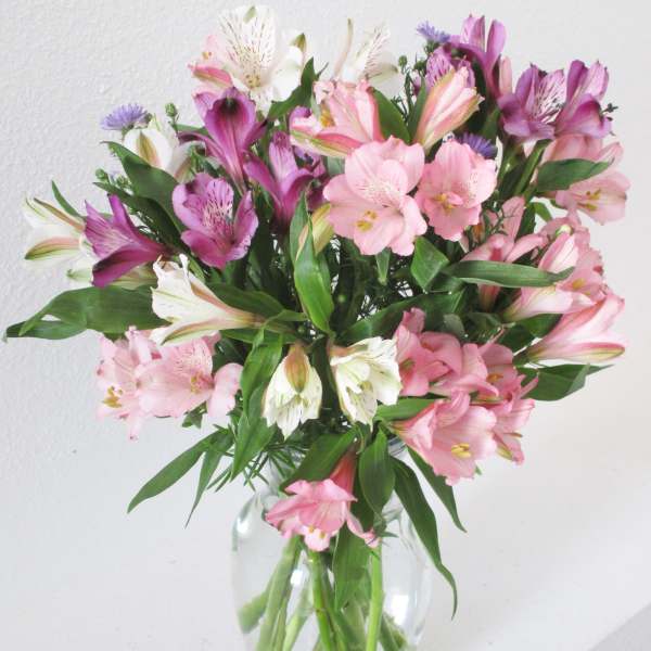 Bouquet of pink and purple alstroemeria in a clear glass vase
