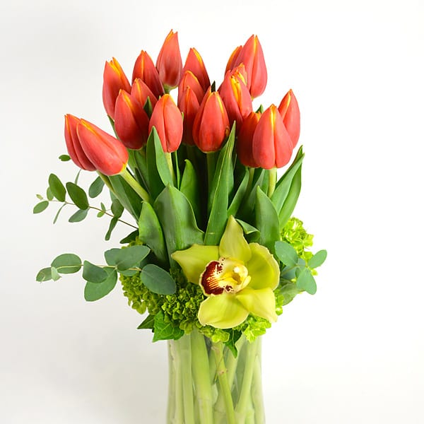 Orange tulips and a green orchid in a glass vase