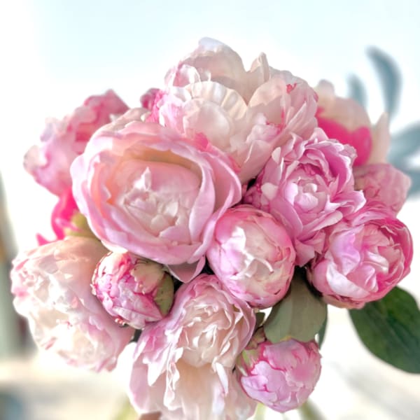 The Pink Peony!