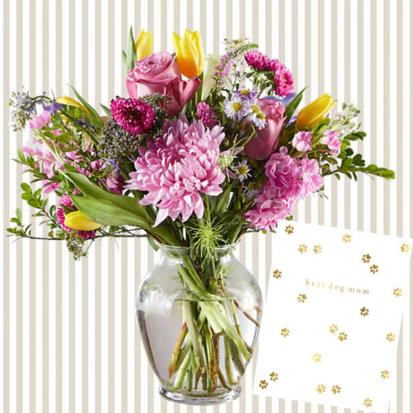 Dog Mom Card Bundle
