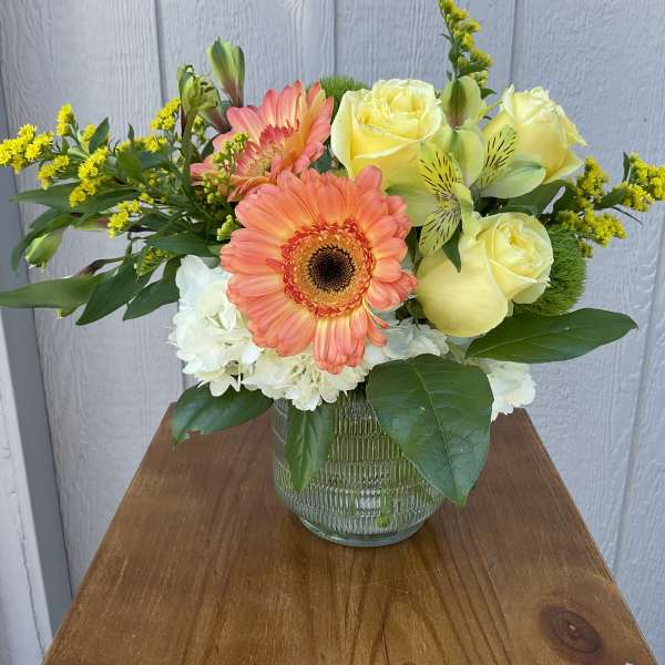 Citrus Joy