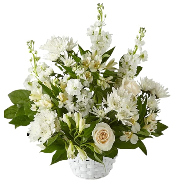 Tranquility Basket