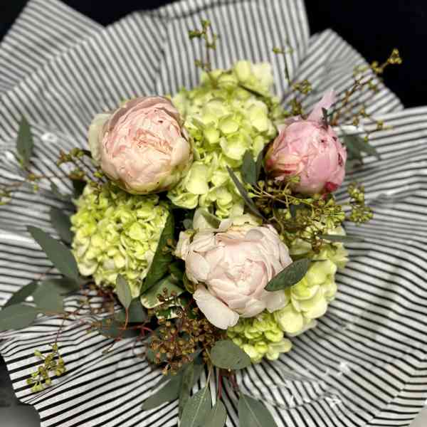 Bouquet of pale pink peonies and green hydrangeas wrapped in striped paper