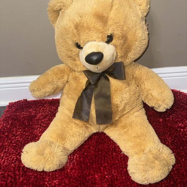 Tan teddy bear with a dark ribbon sitting on a red rug