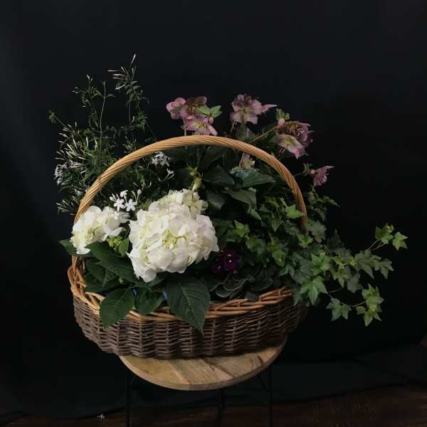 English Garden