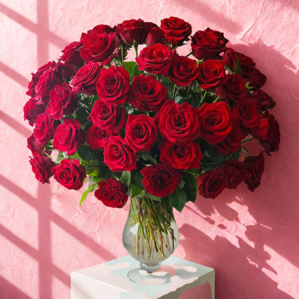 100 Roses