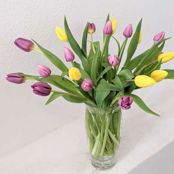 Bouquet of purple, pink, and yellow tulips in a clear glass vase