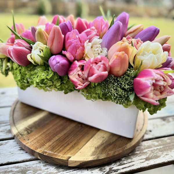 Tulip Field