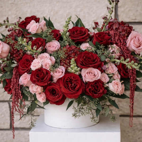 Blushing Romance