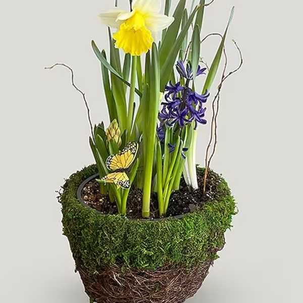 Bulb Garden
