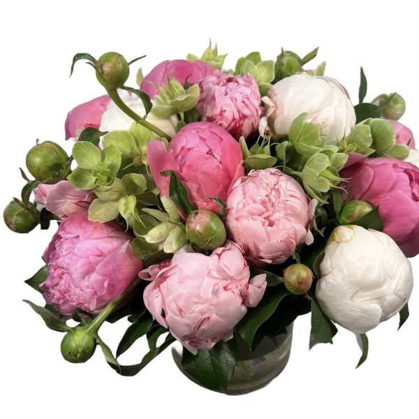 Pink and white peonies arranged in a glass vase