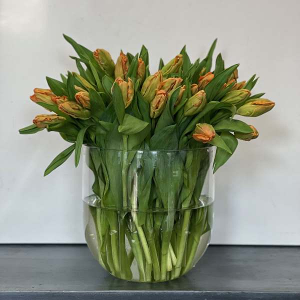 Orange tulips arranged in a clear glass vase