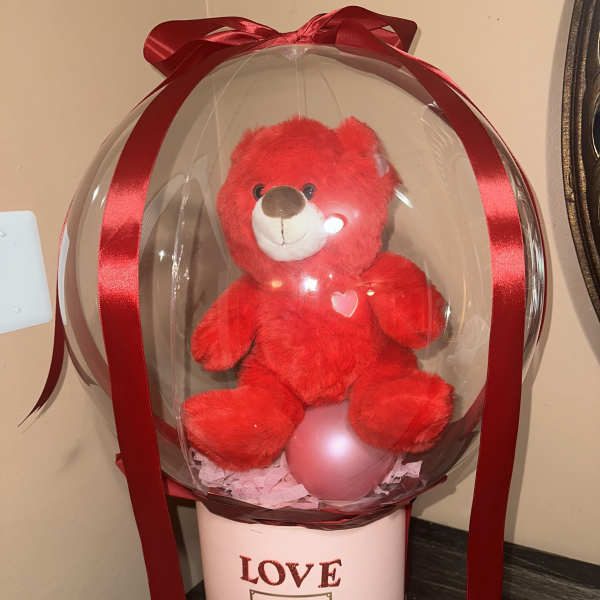 Red teddy bear inside a clear balloon gift box with a ribbon