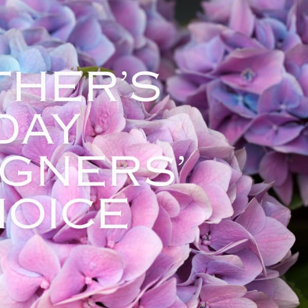 Mother's Day Designer's Choice
