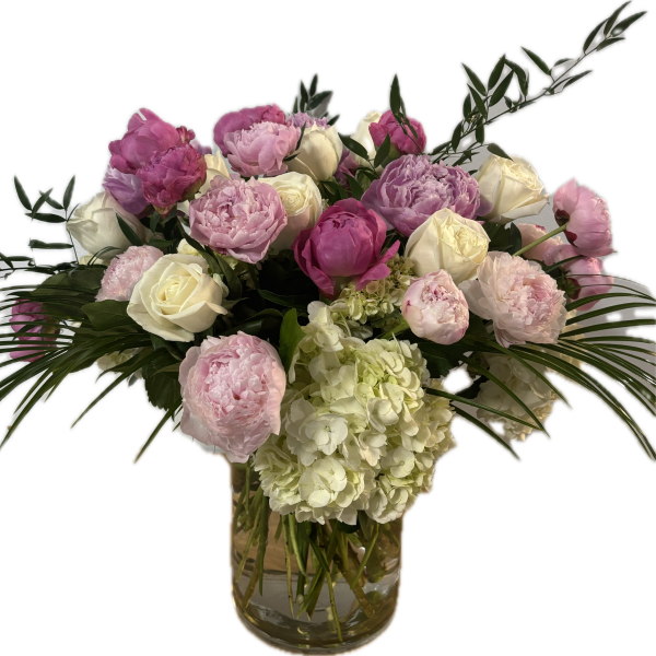 Peonies Galore