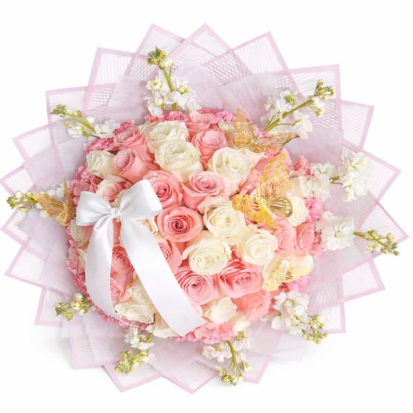 Delicada primavera Rose