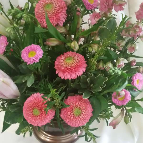 Pink Spring