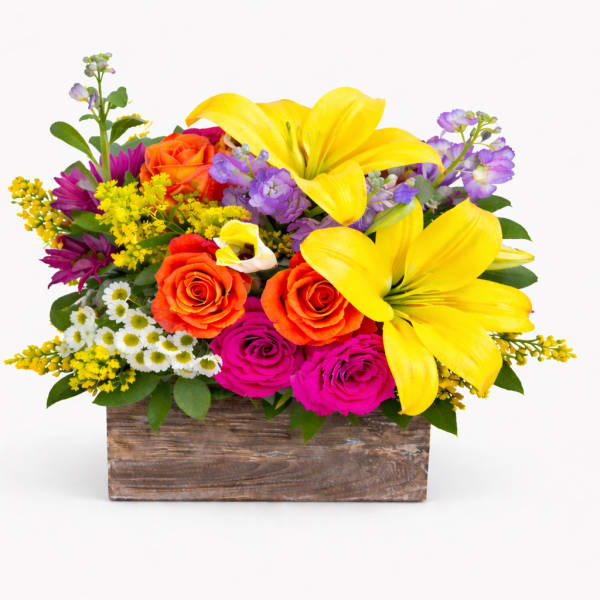 Garden Delight | Designer Choice