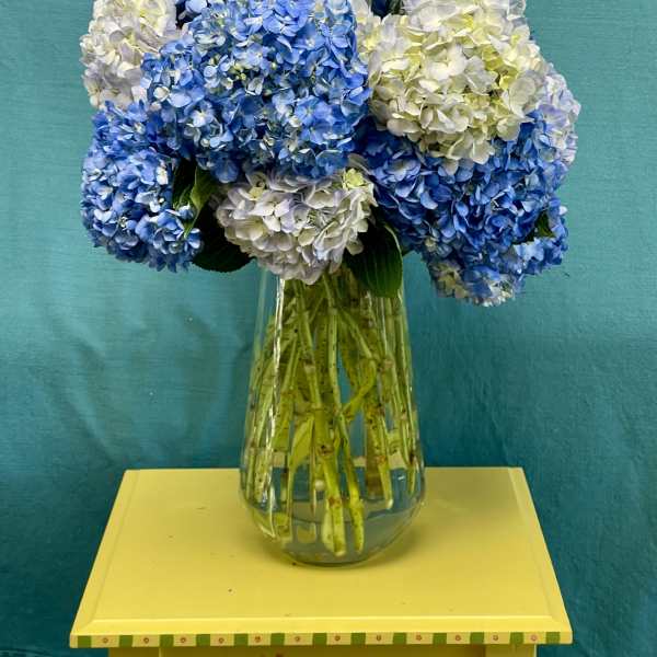 Blue and white hydrangeas arranged in a clear glass vase