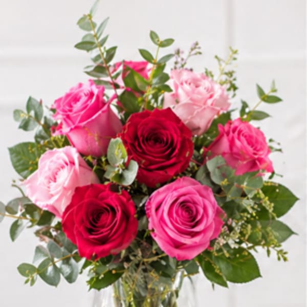 Mixing Pink Roses
