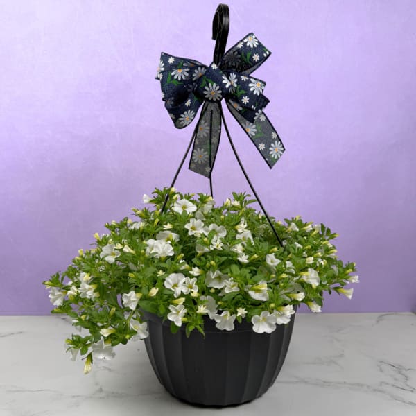 Mother's Day Special - Million Bells Hanging Basket