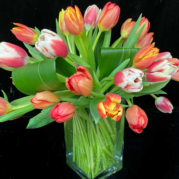 Orange, pink, and white tulips arranged in a clear glass vase against a black background