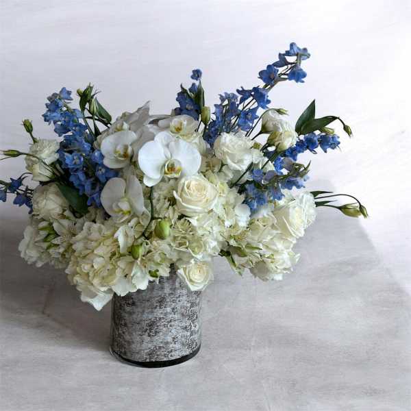BLUE & WHITE