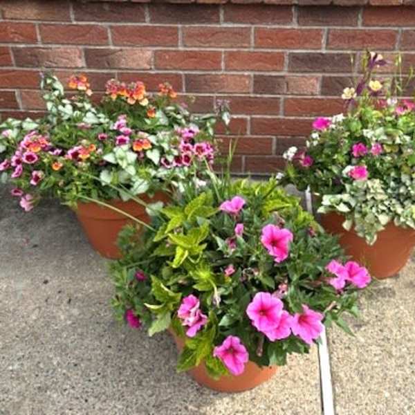 Garden Planter Patio Pot