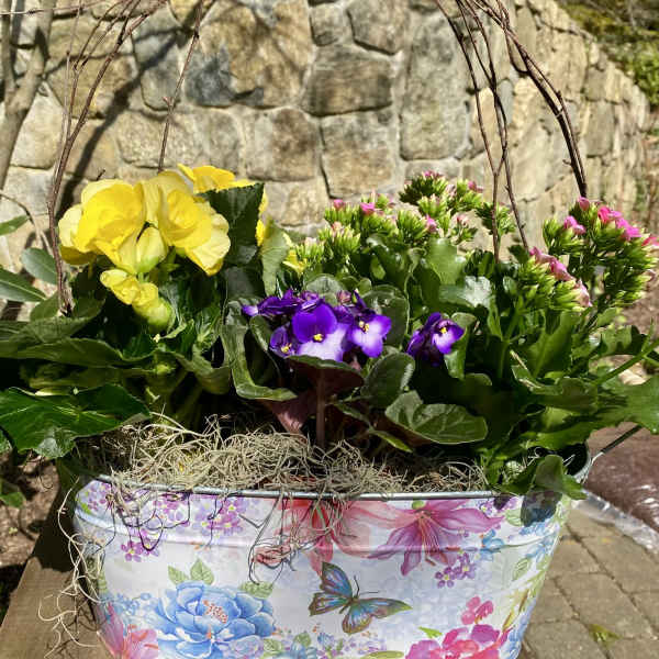 Mixed potted flowers in a floral tin planter with a butterfly decoration