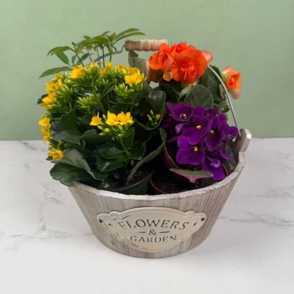 Rustic Blooms Garden